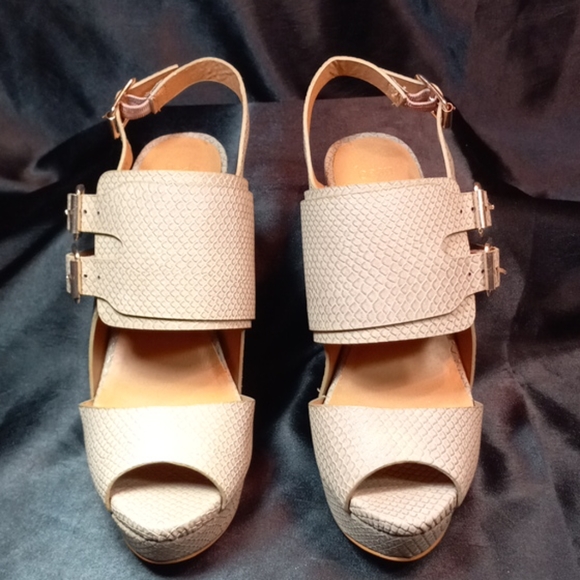 Beau & Ashe - Picture 2 of 5